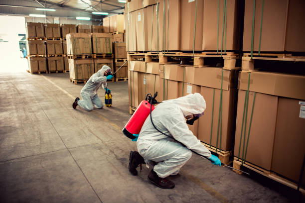 Best Best Pest Control Companies  in Madison, NE