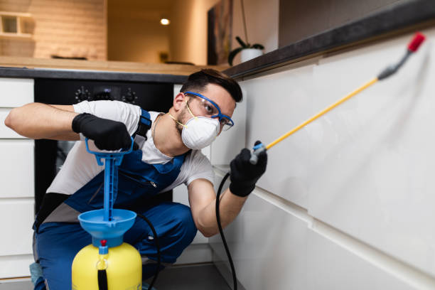 Wasp Removal Services in Madison, NE