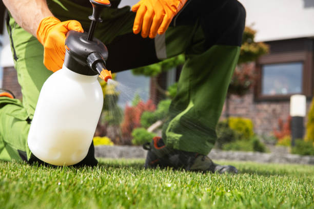 Best Pest Prevention Services  in Madison, NE
