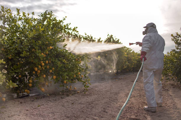Best Exterminator Services  in Madison, NE