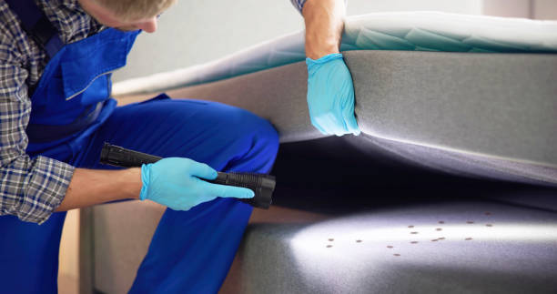Best Flea Control Services  in Madison, NE