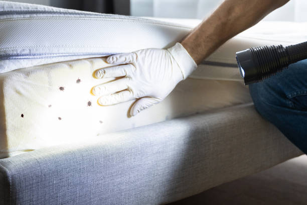 Best Best Pest Control Companies  in Madison, NE