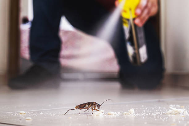 Flea Control Services in Madison, NE