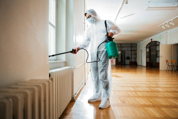 Trusted Madison, NE Pest Control Experts